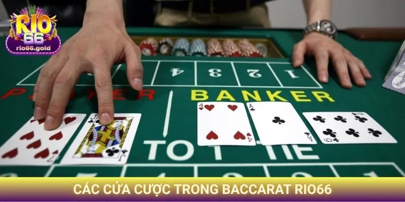 Baccarat Rio66 - Cẩm Nang Chiến Thắng Từ A Đến Z 2 Các cửa cược trong Baccarat Rio66