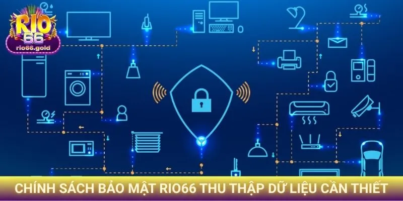 Chính sách bảo mật Rio66 thu thập dữ liệu cần thiết