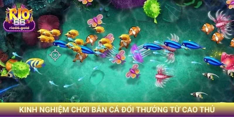 Kinh nghiệm chơi bắn cá đổi thưởng từ cao thủ