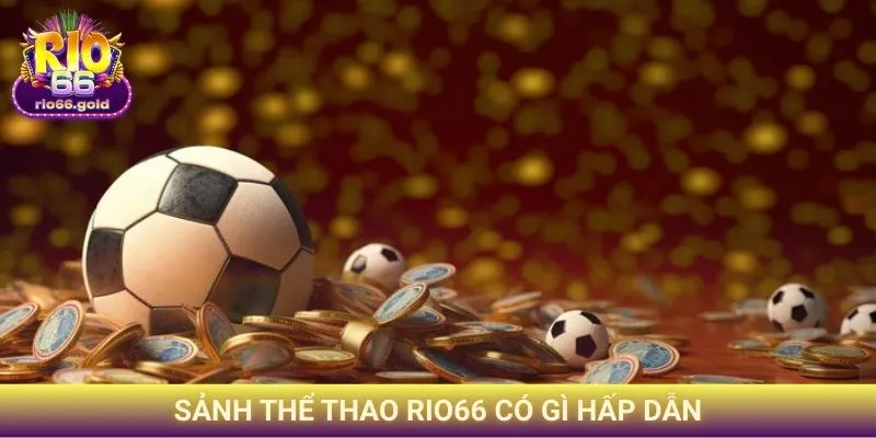 Sảnh thể thao Rio66 có gì hấp dẫn