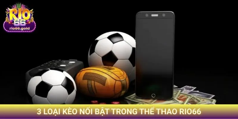 3 loại kèo nổi bật trong thể thao Rio66